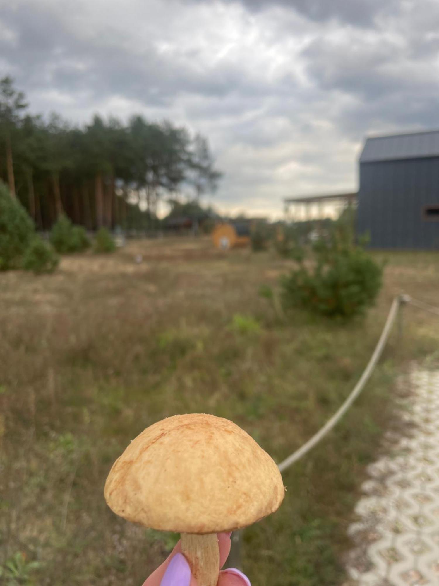 Sworna Laka Z Zewnetrznym Spa- Sauna, Jacuzzi, Balia Swornegacie